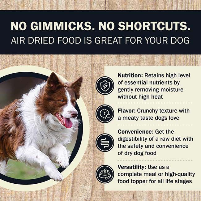 RedBarn Genty Air Dried Powerfood for Dogs - High Protein Chicken Recipe image number null