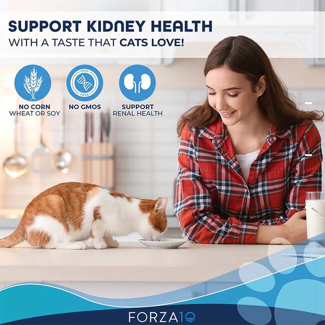 Forza10 Nutraceutic Actiwet Cat Food - Renal Support Diet - Lamb Lung Recipe - 3.5 oz image number null