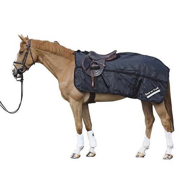 Back on Track Therapeutic Nylon Exercise Sheet image number null