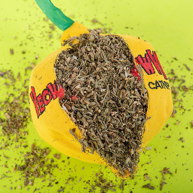 Yeowww! Sour Pusss Lemon Catnip Toy image number null