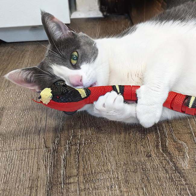 Spot Wigglin' Snake Cat Toy image number null