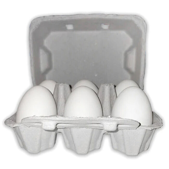 EggCartons.com Duck/Turkey 6-Egg Paper Carton image number null