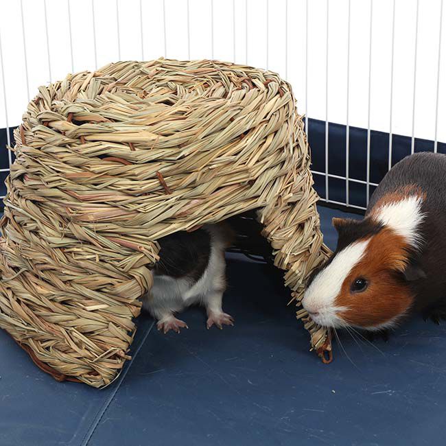 Ware Pet Products Nature Hut image number null