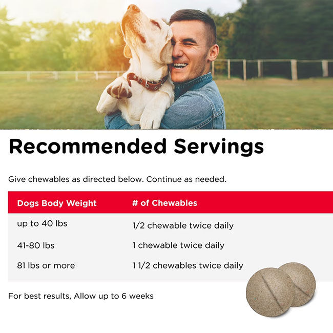 Nutri-Vet Advanced Strength Hip & Joint Chewables for Dogs image number null