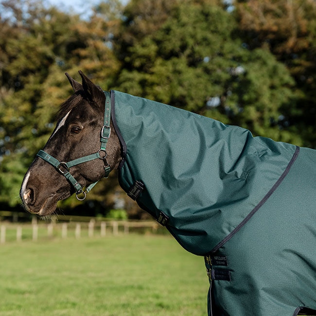 Horseware Amigo Ripstop 900D Turnout Hood (0g Light) - Dynasty Green/Navy/Silver image number null