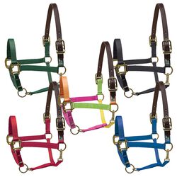 Perri's Nylon Safety Halter
