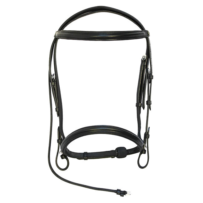 Henri de Rivel Pro Padded Dressage Bridle with Web Reins image number null