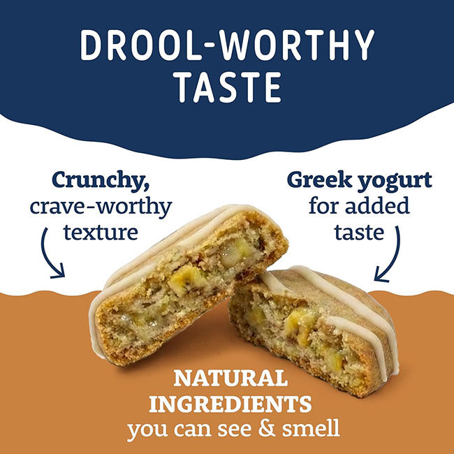 Natural Balance Yo-Gut Bites for Dogs - Peanut Butter & Banana - 4.5 oz image number null