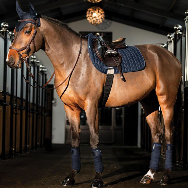 Horseware Amigo Ear Net image number null