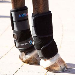Shires Arma Hot/Cold Joint Relief Boots