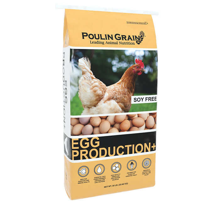 Poulin Grain Egg Production Plus - Soy-Free Crumblets - 50 lb image number null