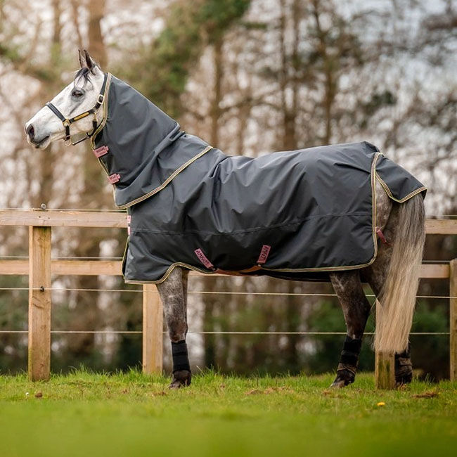 Horseware Amigo Hero Ripstop Plus Turnout (0g Light) - Shadow/Rose & Navy - Closeout image number null