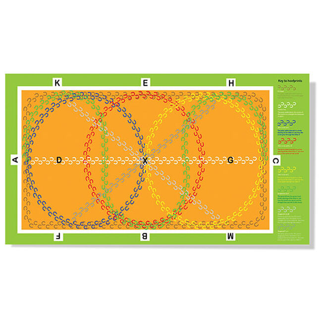 Crafty Ponies Dressage Arena Mat image number null