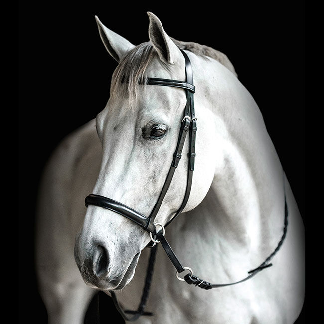 Dr. Cook Bitless English Raised Headstall image number null