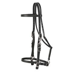 Weaver Equine Brahma Webb Halter Bridle