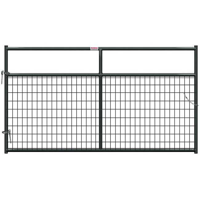 40132067 image number null