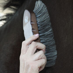Tail Tamer Large Wooden Dandy Brush