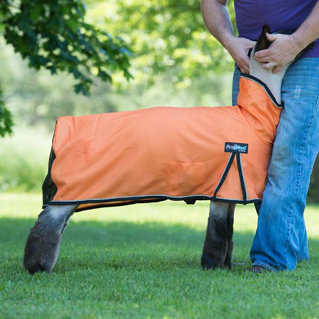 Weaver ProCool Mesh Sheep Blanket image number null