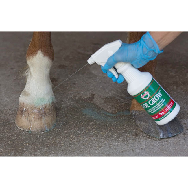 SBS Equine Toe Grow Spray - 16 oz image number null