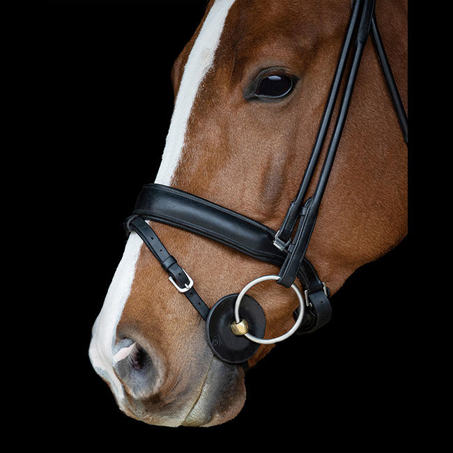 Acavallo Classic Gel Contoured Bit Guards image number null