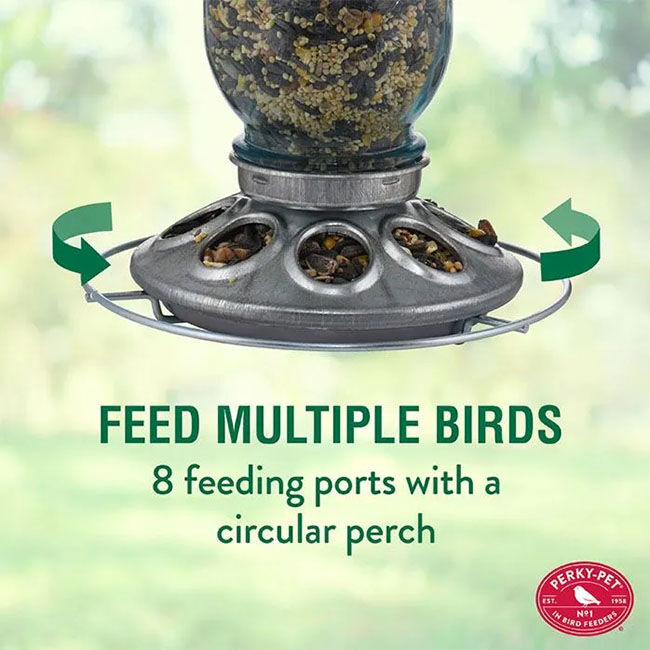 Perky-Pet Mason Jar Seed Bird Feeder image number null