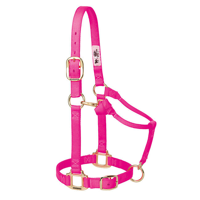 Weaver Equine Original Adjustable Chin & Throat Snap Halter image number null