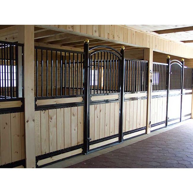 Back on Track Therapeutic Horse Knee Boots image number null