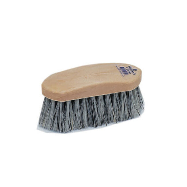 Champion 6-1/4" Plastic Dandy Brush with Grey English Fiber image number null