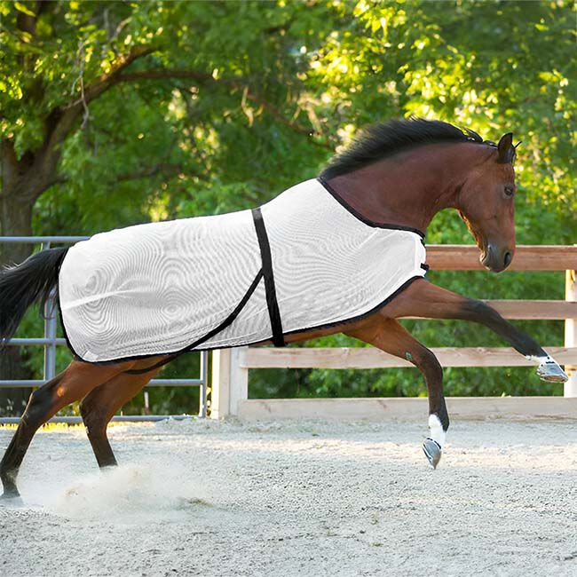 Saratoga Horseworks Saratoga Summer Turnout - White/Black image number null