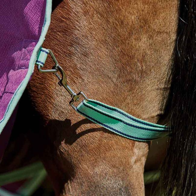 WeatherBeeta Pony ComFiTec Premier Freedom Standard Neck Lite - Purple/Navy/Mint image number null
