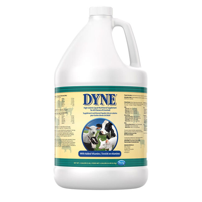 PetAg Dyne High Calorie Liquid Nutritional Supplement for Livestock image number null