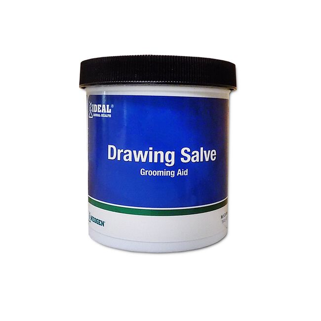 Ideal Animal Health Ichthammol Drawing Salve 14oz The Cheshire Horse