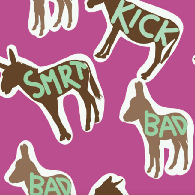 Dreamers & Schemers Boot Socks - Pair and a Spare - Donkey Talk image number null