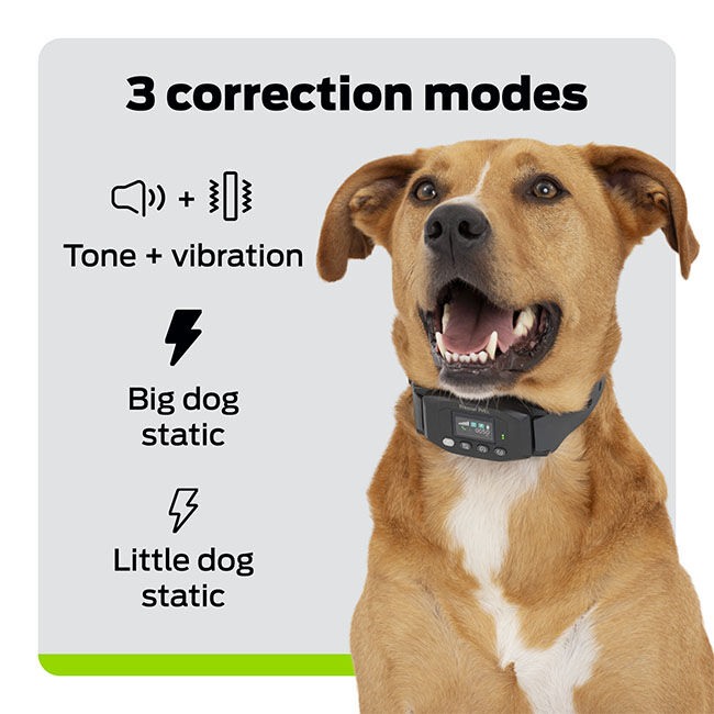 Premier Pet GPS Dog Fence with Circular Wireless Boundary image number null