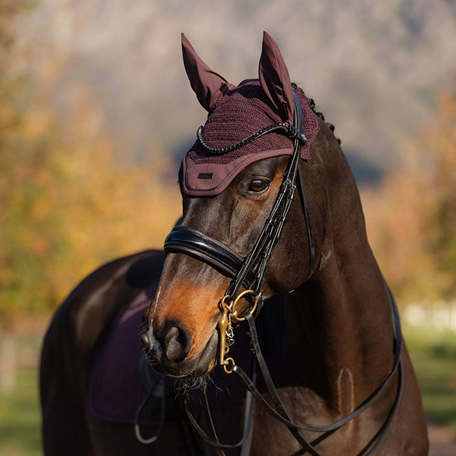 LeMieux Essence Ear Net - Damson - Closeout image number null