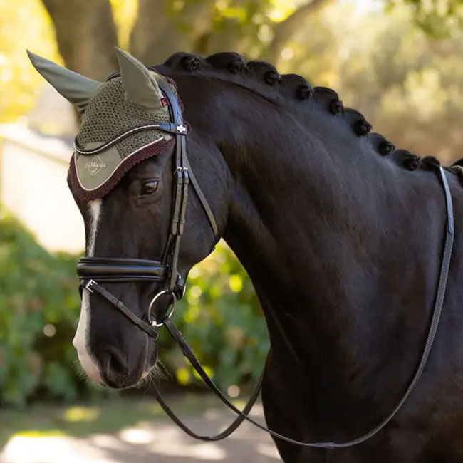 LeMieux Classic Ear Net - Rosemary image number null