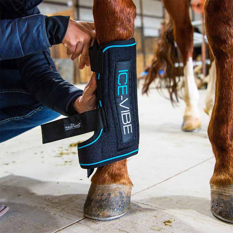 Horseware ice vibe boots top