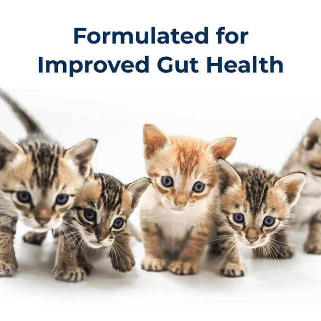 PetAg KMR Goat's Milk Kitten Milk Replacer - 16 oz image number null