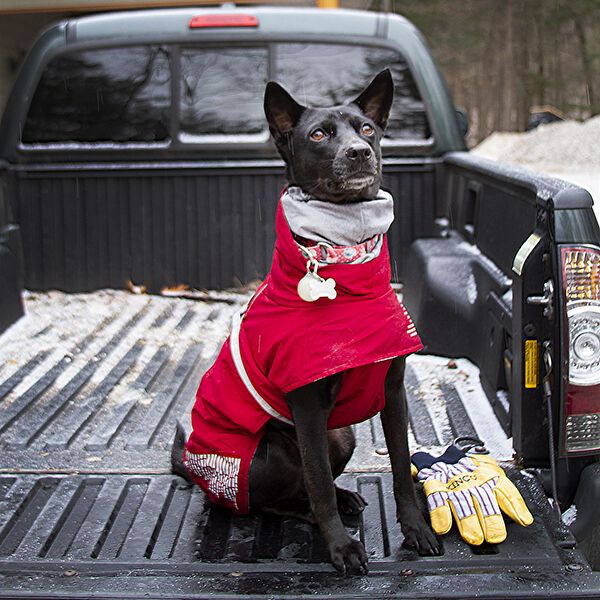 Hurtta extreme warmer dog coat clearance