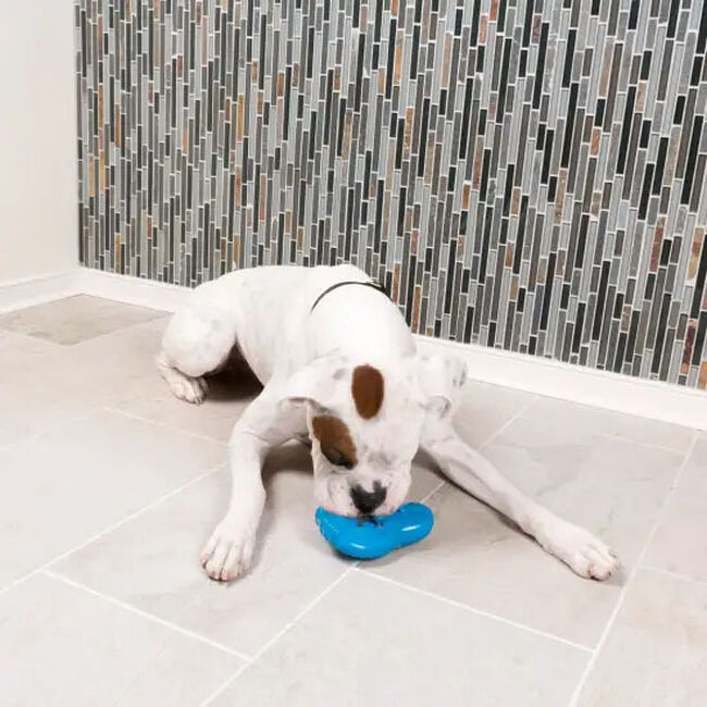 PetSafe Freezable Treat Holding Chilly Penguin image number null