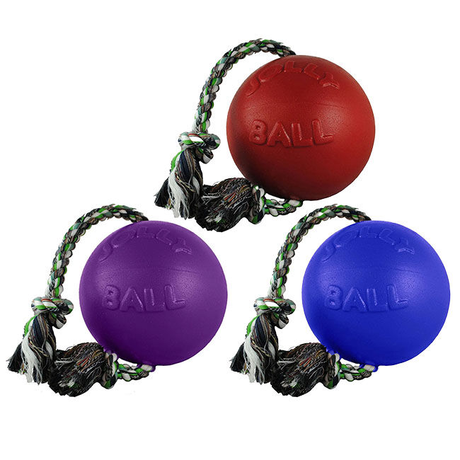 Jolly Pets Romp-N-Roll Dog Toy The Cheshire Horse