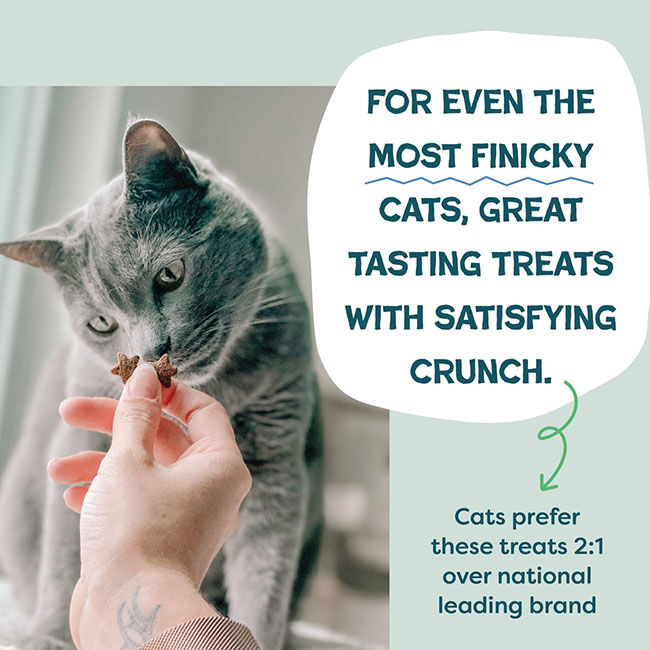 Shameless Pets Crunchy Cat Treats - Catnip N Chill with Real Chicken & Catnip - 2.5 oz image number null