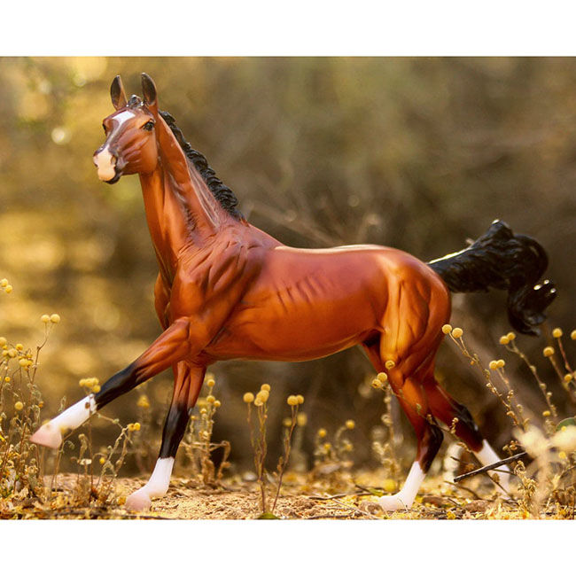 Breyer Adamek image number null