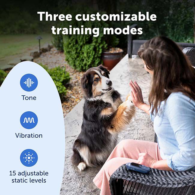 PetSafe Core Dog Trainer with Remote image number null