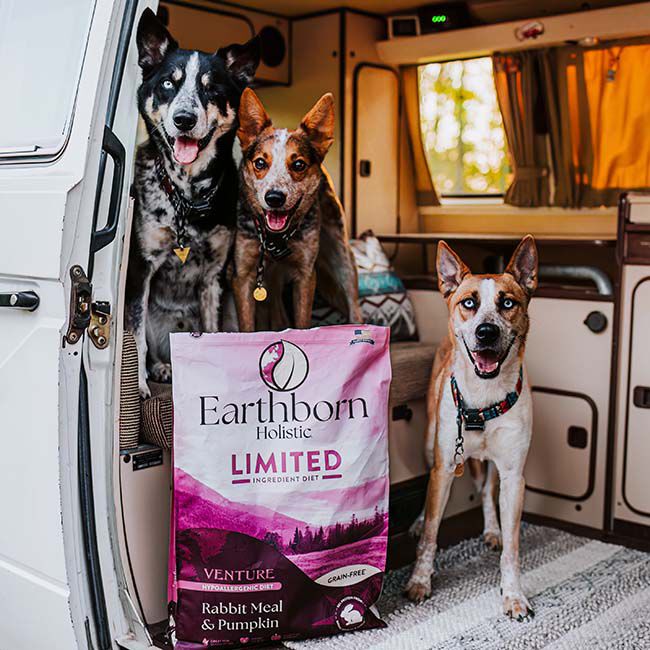 Earthborn Holistic Venture Limited Ingredient Dog Food - Rabbit Meal & Pumpkin Recipe image number null