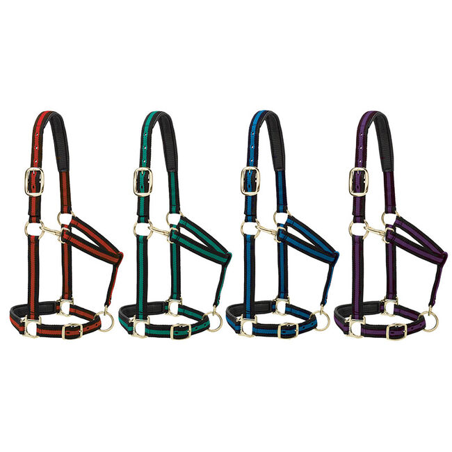 Weaver Padded Adjustable Nylon Halter image number null