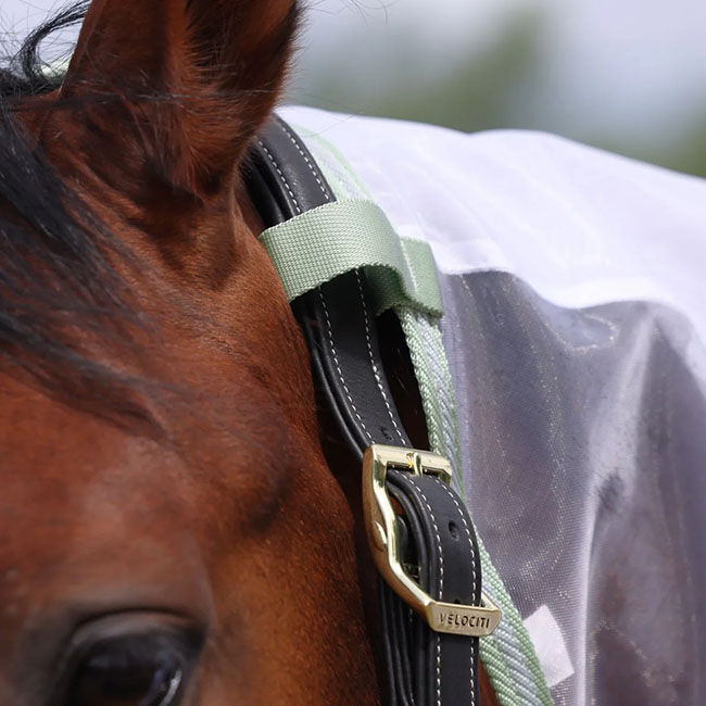 Shires Highlander Fine Mesh Fly Sheet & Neck Set - White/Sage image number null