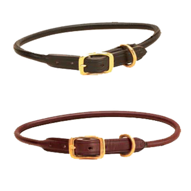 Tory Leather Rolled Leather Dog Collar with solid Brass Buckles and Dees