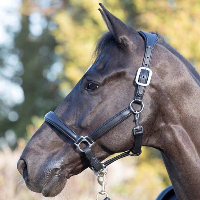 LeMieux Anatomic Leather Halter - Black image number null