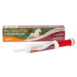 Zoetis Anthelcide EQ (Oxibendazole) Broad-Spectrum Dewormer Paste - 0.85 oz